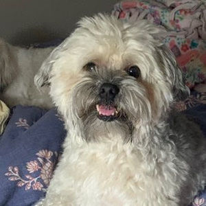 Meet your Posher, Clare